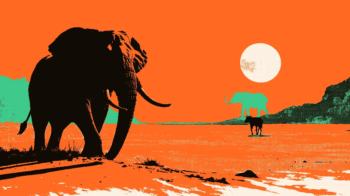 Illustration symbolisant un trophée de football posé sur le sable d'une savane africaine, avec la silhouette monumentale d'un éléphant se découpant à l'horizon sous un ciel orangé.